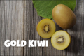 Gold Kiwi
