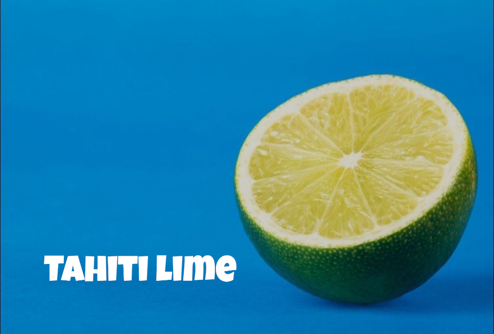 Tahiti Lime